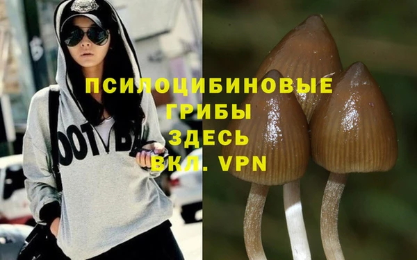 винт Белокуриха
