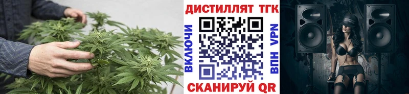 shop официальный сайт Воткинск Дистиллят ТГК Wax