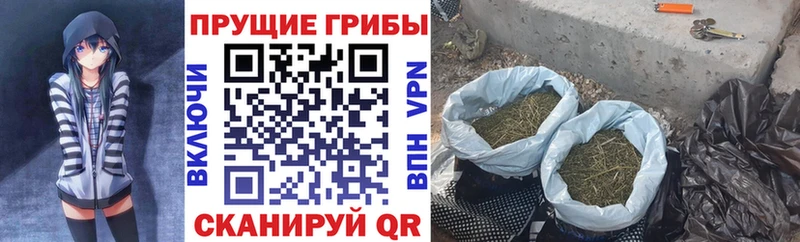цены наркотик  Воткинск  Псилоцибиновые грибы Cubensis 